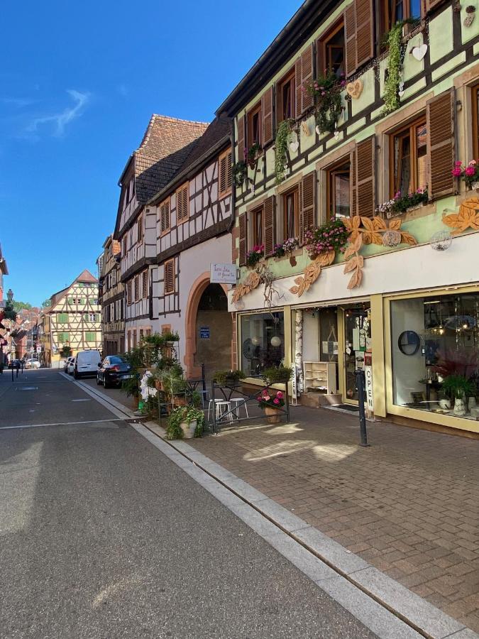 Апартаменти Tiers Lieu 59 Grand Rue Bouxwiller  Екстер'єр фото
